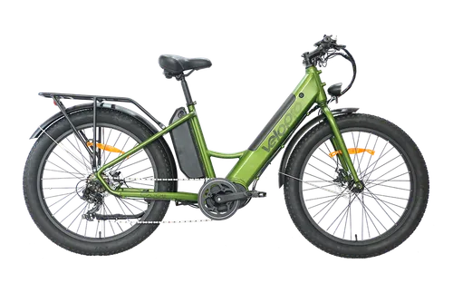 Electric City Bike — Model C700E (2022)