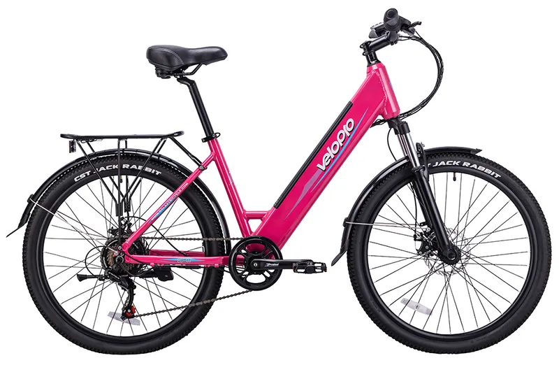 Electric City Bike — Model C300E