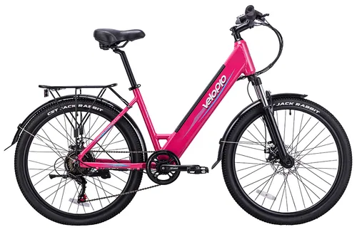 Electric City Bike — Model C300E