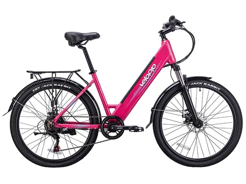 Electric City Bike — Model C300E