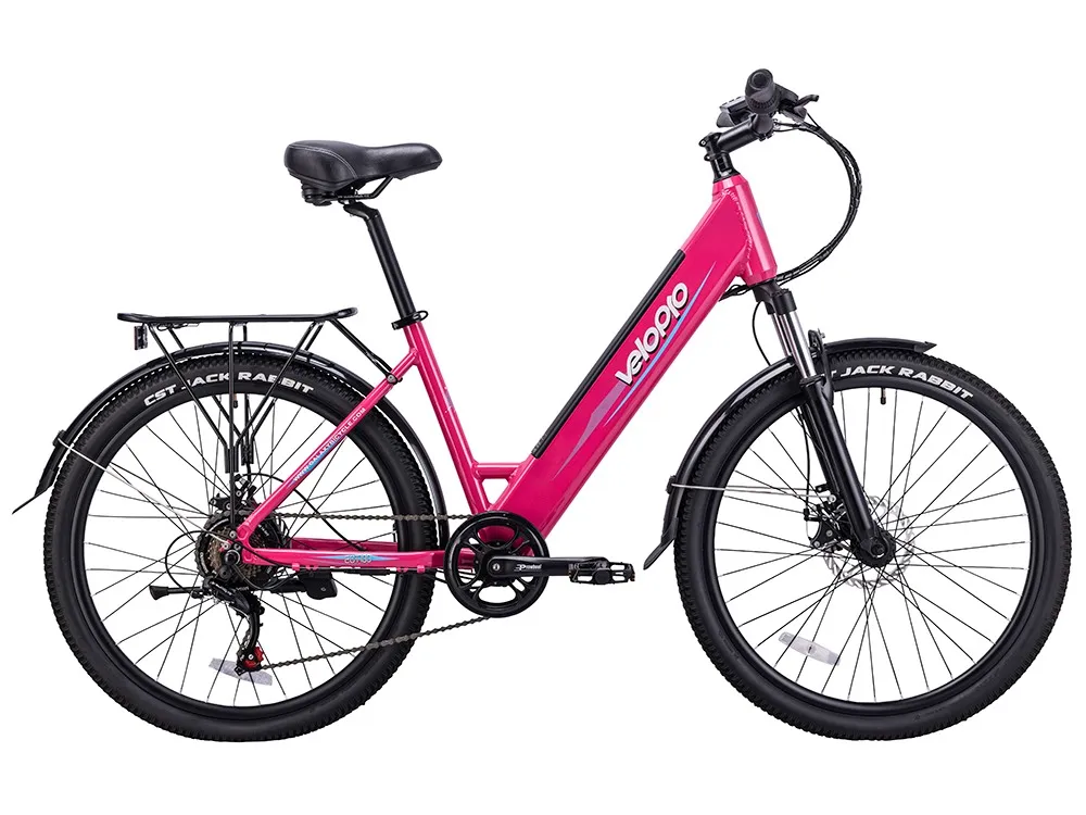 Electric City Bike — Model C300E