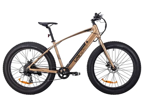Electric Mountain Bike — Model M800E