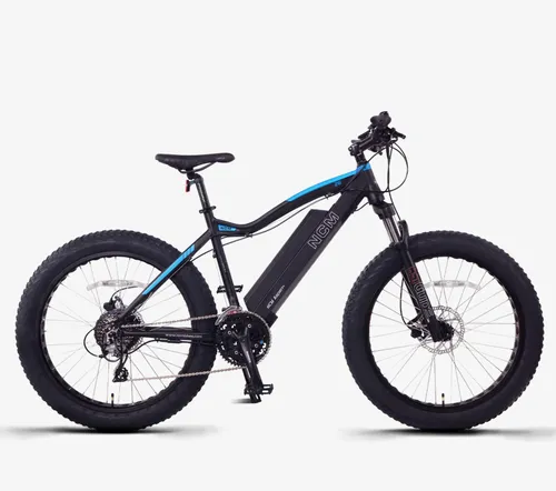 Electric Mountain Bike — Model EMTB-2