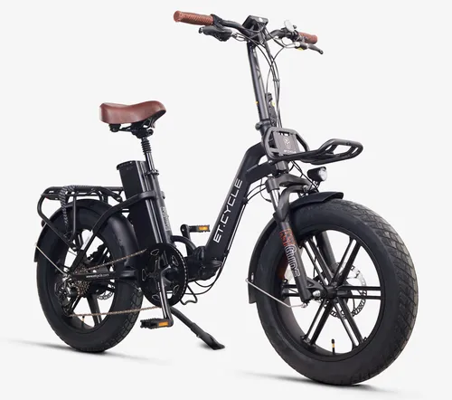 Electric Folding Bike — Model FLD-4