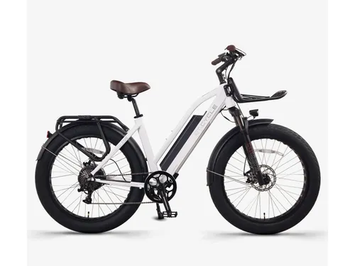 Electric Moped — Model MOTO-1