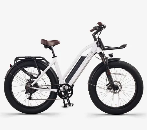 Electric Moped — Model MOTO-1