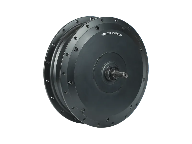 High-Power Direct-Drive Hub Motors 6